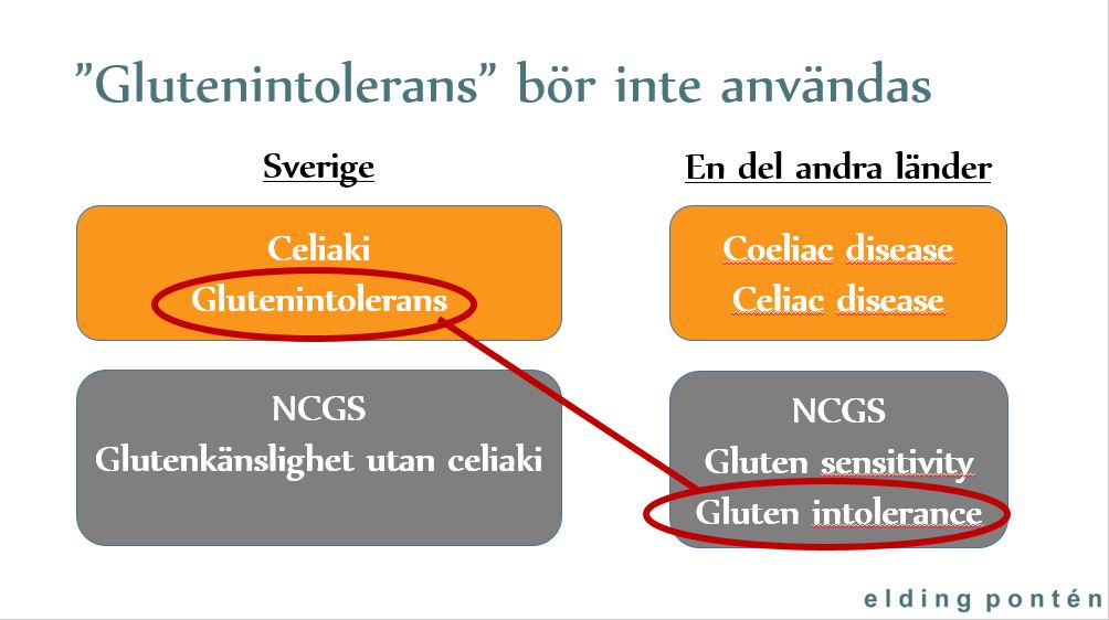 Celiaki vs glutenintolerans
