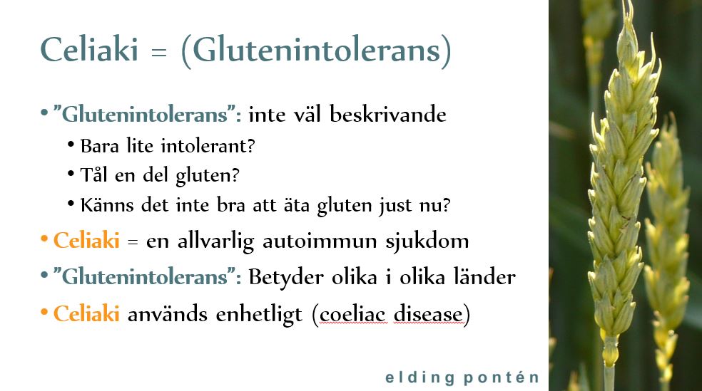 Celiaki vs glutenintolerans